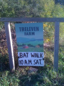 Bat Sign